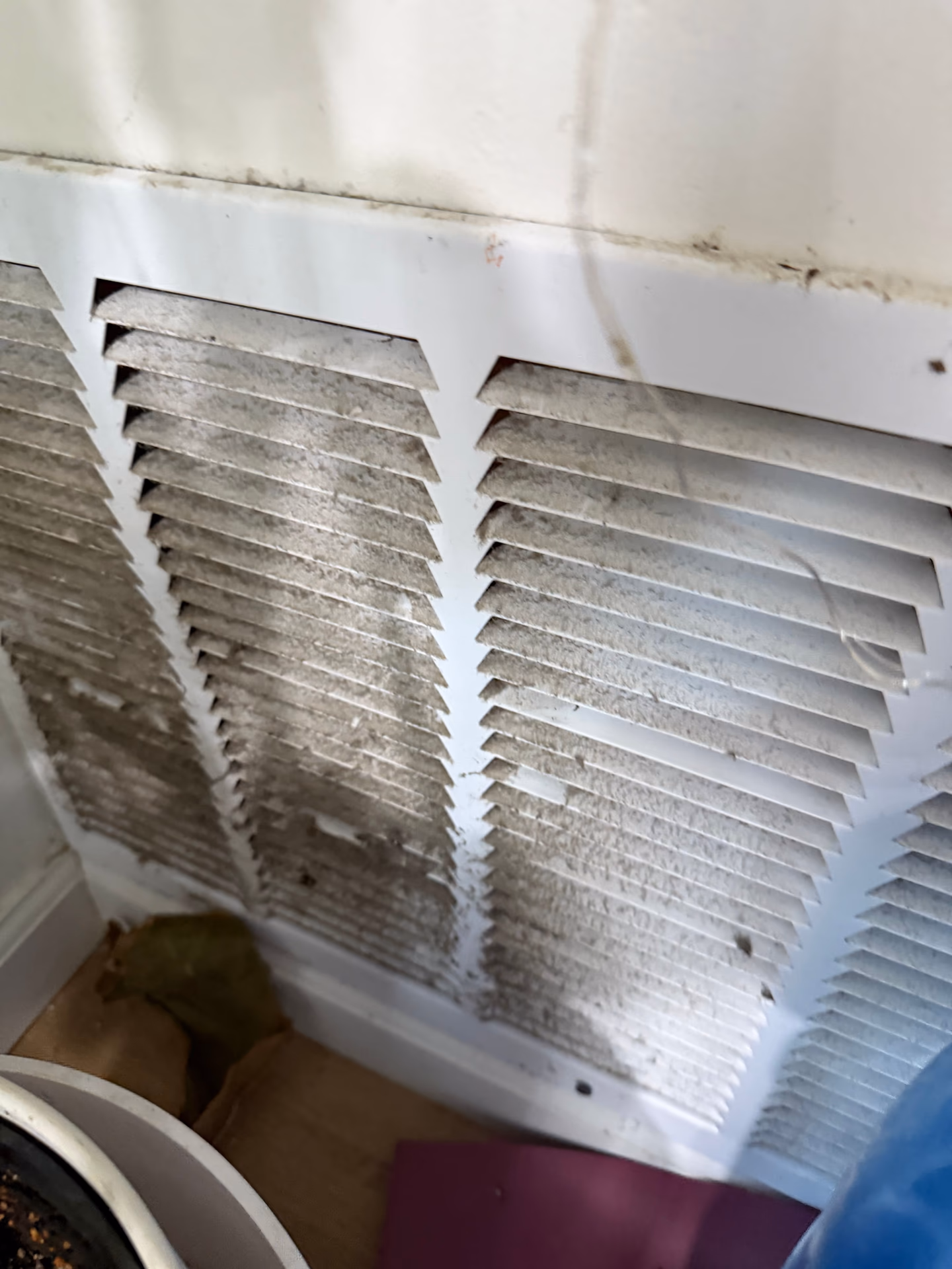 Why HVAC mold testing matters